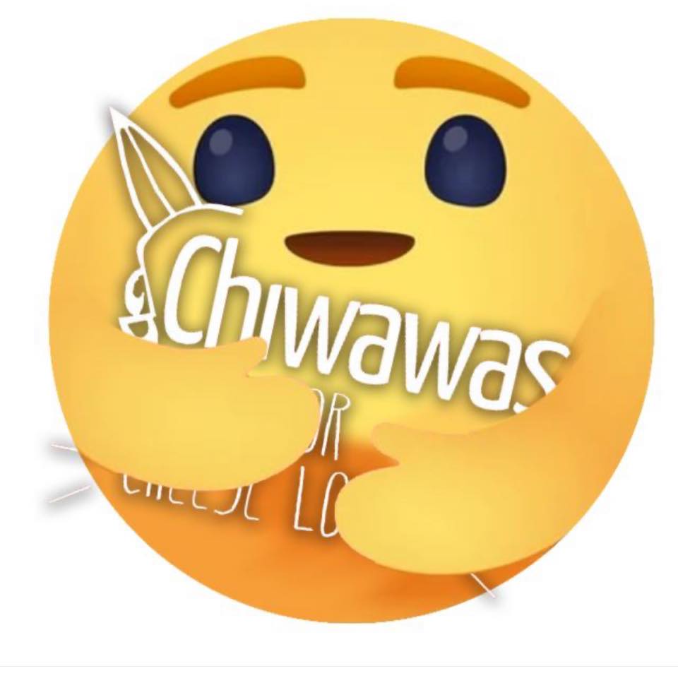 Chiwawas